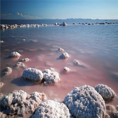 海賊王后浪漫漂泊游戏下载